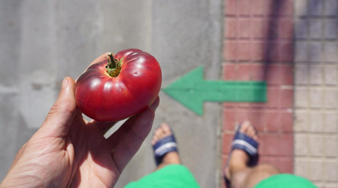 Évitez le soleil après ce légume : découvrez pourquoi !