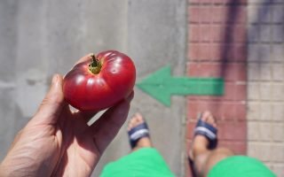 Évitez le soleil après ce légume : découvrez pourquoi !