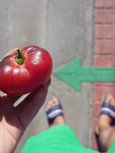 Évitez le soleil après ce légume : découvrez pourquoi !