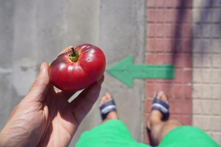Évitez le soleil après ce légume : découvrez pourquoi !
