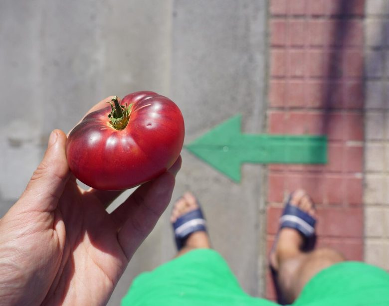 Évitez le soleil après ce légume : découvrez pourquoi !